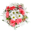 Bursting with the colours and textures of a Lee summer, this bouquet features an exuberant mix of snowy white daisies and coral-pink carnations, echoing the cheerful vibrancy seen in local parks and street markets. The daisies, with their striking green centers, stand out beneath the soft ruffle and plush depth of each carnation-petals layered like small clouds catching the afternoon light. Wisps of baby's breath are woven carefully throughout, contributing an ethereal softness that lightens the bouquet's form. Sprigs of eucalyptus and gracefully arching deep green foliage offer a cooling, tranquil frame, their fragrance reminiscent of fresh mornings in Lewisham's green corridors. Soft hints of purple and blush alstroemeria buds peek from the lushness, serving as subtle nods to the diversity of blooms that flourish in Lee's gardens. This thoughtfully arranged bouquet, beautifully rounded and harmoniously balanced, is perfect for birthdays, anniversaries, or simply to lift a loved one's spirits. Designed with both artistry and heart, it brings a little of Lee's natural charm and warmth straight through the door, inspiring an atmosphere of renewal and quiet celebration.